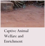 Research Area: Captive Animal Welfare and Enrichment