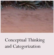 Research Area: Conceptual Thinking and Categorization