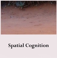 Research Area: Spatial Cognition