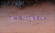 Research Topics in Spatial Cognition