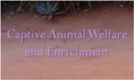 Research Topics in Captive Animal Welfare and Enrichment