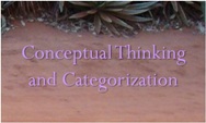 Research Topics in Conceptual Thinking and Categorization