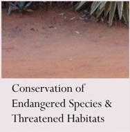 Research Area: Conservation of Endangered Species & Threatened Habitats