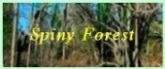navbutton-Spiny Forest