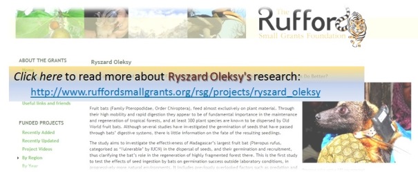 Ryszard Oleksy's research_Rufford